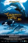 Дельфины и киты 3D (2008)