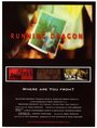 Running Dragon (2007) скачать бесплатно в хорошем качестве без регистрации и смс 1080p