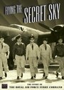 Flying the Secret Sky: The Story of the RAF Ferry Command (2008) трейлер фильма в хорошем качестве 1080p