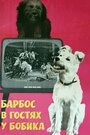 Барбос в гостях у Бобика (1964) скачать бесплатно в хорошем качестве без регистрации и смс 1080p