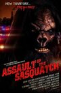 Sasquatch Assault (2009) кадры фильма смотреть онлайн в хорошем качестве