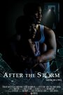 After the Storm (2009) кадры фильма смотреть онлайн в хорошем качестве