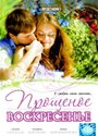 Прощеное воскресенье (2007) скачать бесплатно в хорошем качестве без регистрации и смс 1080p