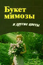 Смотреть «Букет мимозы и другие цветы» онлайн фильм в хорошем качестве