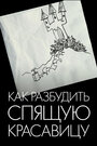 Как разбудить Спящую красавицу (2009) кадры фильма смотреть онлайн в хорошем качестве