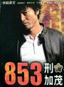 853 (2010) скачать бесплатно в хорошем качестве без регистрации и смс 1080p