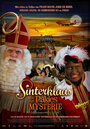 Sinterklaas en het Pakjes Mysterie (2010) кадры фильма смотреть онлайн в хорошем качестве