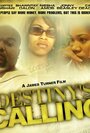 Destiny's Calling (2011) кадры фильма смотреть онлайн в хорошем качестве