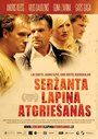 Возвращение сержанта Лапиньша (2010) кадры фильма смотреть онлайн в хорошем качестве