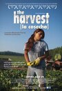 The Harvest/La Cosecha (2011) трейлер фильма в хорошем качестве 1080p