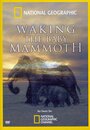 Мамонтенок: Застывший во времени (2009) скачать бесплатно в хорошем качестве без регистрации и смс 1080p