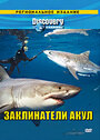 Discovery: Заклинатели акул (2007)