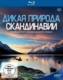 Дикая природа Скандинавии (2011) трейлер фильма в хорошем качестве 1080p