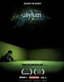 Asylum (2010) скачать бесплатно в хорошем качестве без регистрации и смс 1080p