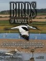 Смотреть «Birds of Norfolk: A Bird Watchers Dream» онлайн фильм в хорошем качестве