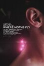 Смотреть «Where Moths Fly» онлайн фильм в хорошем качестве