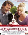 Duke (2012) скачать бесплатно в хорошем качестве без регистрации и смс 1080p