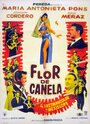 Flor de canela (1959) скачать бесплатно в хорошем качестве без регистрации и смс 1080p