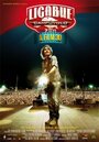 Ligabue Campovolo - il film 3D (2011) кадры фильма смотреть онлайн в хорошем качестве