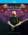 David Gilmour Remember That Night (2007) скачать бесплатно в хорошем качестве без регистрации и смс 1080p