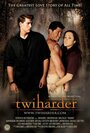 Twiharder (2013) скачать бесплатно в хорошем качестве без регистрации и смс 1080p