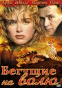 Бегущие на волю (1995) скачать бесплатно в хорошем качестве без регистрации и смс 1080p