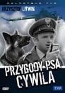 Приключения пса Цивиля (1968) кадры фильма смотреть онлайн в хорошем качестве