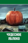 Смотреть «Чудесное яблоко» онлайн в хорошем качестве