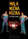 Mala nocna muzika (2002) скачать бесплатно в хорошем качестве без регистрации и смс 1080p