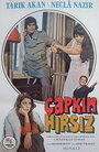 Çapkin hirsiz (1975)