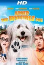 Abner, the Invisible Dog (2013) скачать бесплатно в хорошем качестве без регистрации и смс 1080p