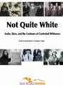 Not Quite White: Arabs, Slavs, and the Contours of Contested Whiteness (2012) скачать бесплатно в хорошем качестве без регистрации и смс 1080p