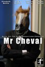 Mr Cheval (2012) скачать бесплатно в хорошем качестве без регистрации и смс 1080p