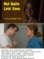 Not Quite Lyin' Eyes (2013)