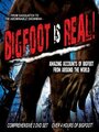 Bigfoot Is Real!: Sasquatch to the Abominable Snowman (2010) трейлер фильма в хорошем качестве 1080p