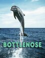 Смотреть «Bottlenose» онлайн фильм в хорошем качестве