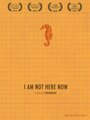 I Am Not Here Now (2013) скачать бесплатно в хорошем качестве без регистрации и смс 1080p