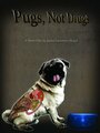 Pugs, Not Drugs (2013) кадры фильма смотреть онлайн в хорошем качестве