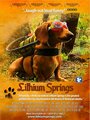 Lithium Springs (2004) скачать бесплатно в хорошем качестве без регистрации и смс 1080p