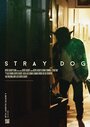 Смотреть «Stray Dog» онлайн фильм в хорошем качестве