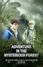 Смотреть «Adventure in the Mysterious Forest» онлайн фильм в хорошем качестве