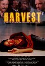 Смотреть «Harvest» онлайн фильм в хорошем качестве