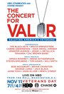 The Concert for Valor (2014) скачать бесплатно в хорошем качестве без регистрации и смс 1080p