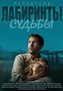 Лабиринты судьбы (2014) кадры фильма смотреть онлайн в хорошем качестве