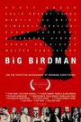 Big Birdman (2015) скачать бесплатно в хорошем качестве без регистрации и смс 1080p