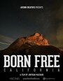 Born Free: California (2015) кадры фильма смотреть онлайн в хорошем качестве