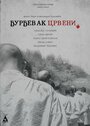 Djurdjevak crveni (2015) трейлер фильма в хорошем качестве 1080p