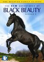 The New Adventures of Black Beauty (1990) скачать бесплатно в хорошем качестве без регистрации и смс 1080p