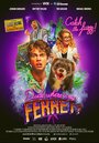 Dude, Where's My Ferret? (2015) скачать бесплатно в хорошем качестве без регистрации и смс 1080p