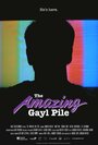 The Amazing Gayl Pile (2015) скачать бесплатно в хорошем качестве без регистрации и смс 1080p